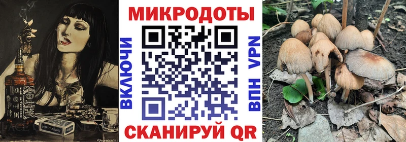 Галлюциногенные грибы Psilocybine cubensis  Удомля 